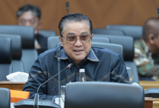 Dede Yusuf Dorong Gaji P3K dan P3K Paruh Waktu Ditanggung APBN Pusat
