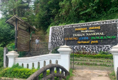 Pasca Kebakaran, Jalur Pendakian Gunung Gede-Pangrango Masih Ditutup