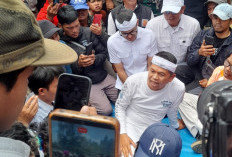 KDM Apresiasi Perjuangan Relawan Pemadam Karhutla Gunung Gede Pangrango