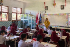 Kemendikdasmen Panggil 60.896 Guru Ikuti PPG Guru Tertentu Tahap 2