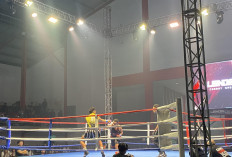 100 Atlet Ramaikan Leindel Combat Sport Vol 2, Perebutkan Empat Sabuk Juara