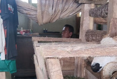 Tiga Tahun Tinggal di Kandang Domba, Ayi Berharap Punya Rumah Layak