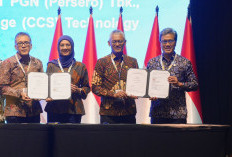 PGN Garap Studi Ekosistem CCS dan Transportasi CO?, Dukung Pengembangan Amonia Rendah Karbon