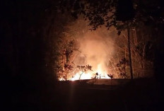 Karhutla Terjadi di Ciranjang Cianjur, BPBD Ingatkan Bahaya Pembakaran Lahan