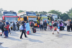 Hingga H-4 Lebaran, 6 Juta Orang Gunakan Angkutan Umum untuk Mudik