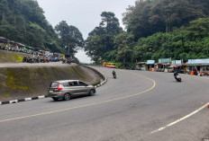 Pengendara Diimbau Waspada Tanah Longsor dan Pohon Tumbang di Kawasan Puncak