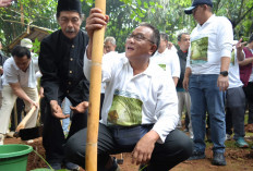 Menteri LH Serukan Tobat Ekologis dan Penanaman 2 Miliar Pohon Bambu