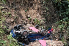 Bawa 8 Penumpang, Mobil Rombongan Pengantin Terperosok ke Jurang di Cianjur