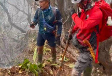Cerita Relawan Bikin Parit hingga Turun Lereng untuk Padamkan Api di Gunung Gede