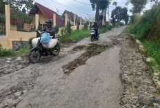 Jalan Pasir Kampung - Gunung Putri Rusak Parah, Kades Sukatani Minta Segera Ditangani