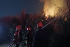 Dua Bulan, Karhutla Terjang 13 Kecamatan di Cianjur