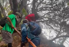 Puluhan Relawan Berdatangan, Kebakaran Kawah Wadon Gunung Gede Capai 15 Hektare