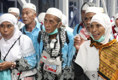 Pemulangan Gelombang I Tuntas, 95.178 Jemaah Haji Indonesia Kembali ke Tanah Air