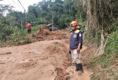 Empat Kecamatan di Cianjur Disergap Bencana, Belasan Jiwa Mengungsi
