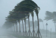 Waspada! Hujan Deras dan Angin Kencang Terjang Cianjur Beberapa Hari Kedepan