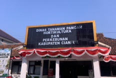 960 Hektare Sawah Cianjur Terancam Kekeringan, DTPHP Bangun 15 Irigasi Perpompaan