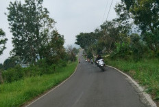 Anggota Komisi IV DPRD Jabar Dorong Pembangunan Jalur Puncak II Cianjur
