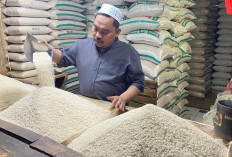Harga Gabah Mulai Turun, Beras di Pasar Muka Cianjur Tetap Naik