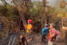 Relawan Ungkap Luas Kebakaran Gunung Gede