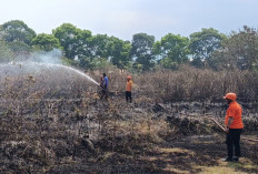 Lima Titik Karhutla Muncul Bersamaan di Cianjur, Penyebab Masih Diselidiki