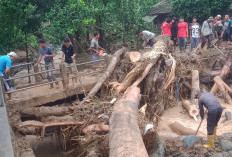 Banjir Rendam Sejumlah Desa di Cianjur, Jembatan Roboh hingga Pohon Tumbang