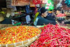 Harga Cabai di Pasar Muka Cianjur Naik Menjelang Iduladha