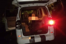 Digigit Anjing Liar, Seorang Anak di Campaka Cianjur Terluka