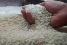 MUI Cianjur Ingatkan Masyarakat Tunaikan Zakat Fitrah Sesuai Beras yang Dimakan