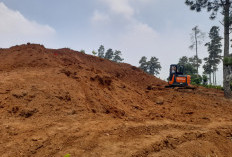 Alih Fungsi Hutan Puncak Simun Cianjur Disorot, Pemanfaatan Perhutanan Sosial Diminta Tak Kebablasan
