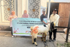 Iduladha 2026, Pertamina Trans Kontinental Berbagi Berkah Kurban Bersama Masyarakat