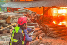Gudang Gesekan Kayu di Cianjur Terbakar, Kerugian Ditaksir Rp100 Juta