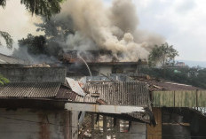Diduga Dipicu ODGJ Bakar Sampah, Villa Kosong di Cipanas Cianjur Terbakar