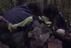 Viral! Pendaki Berbobot 145 Kilogram Dievakuasi dari Gunung Gede Pangrango