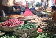 Imbas Musim Kemarau, Stok Sawi dan Pakcoy Mulai Menipis di Pasar Muka Cianjur