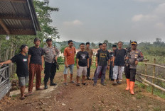 Monyet Liar Ditangkap Usai Serang Anak di Cibeber Cianjur