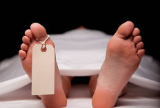 Satu Korban Keracunan Jamur di Cikalongkulon Cianjur Meninggal Dunia