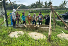 Kisah Harapan di Balik Program 