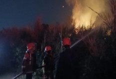 BPBD Cianjur Catat 38 Karhutla Sejak Juli, Satu Warga Meninggal