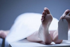 Sopir Truk Tewas Usai Kecelakaan di Bangbayang Gekbrong Cianjur