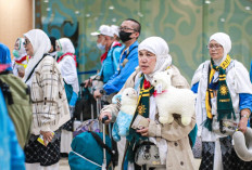 66 Persen Jemaah Indonesia Telah Kembali ke Tanah Air