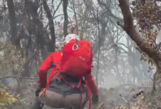 Karhutla Gunung Gede Meluas, 20 Hektar Lahan Terbakar
