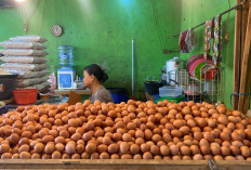 Libur MBG, Harga Telur di Cianjur Turun ke Rp26 Ribu per Kg