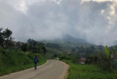 Dedi Mulyadi Sebut Jalur Puncak 2 Diproyeksikan Digunakan Tahun Depan