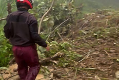 Hujan Deras Picu Longsor di Cikalongkulon Cianjur