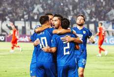 Tekuk Cong Viettel, PERSIB Masih Sempurna di Asia