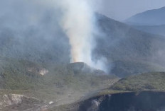 Gunung Gede Kembali Terbakar, 70 Relawan Diterjunkan