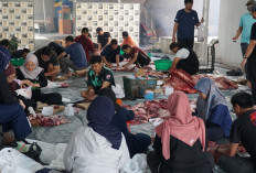PLN UIP JBT Salurkan Daging Kurban kepada 2.400 Penerima Manfaat
