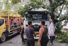 Truk Tronton Tabrak Pohon di Sukaluyu Cianjur, Tidak Ada Korban Jiwa