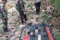 Kerangka Manusia Ditemukan di Hutan Perhutani Cianjur, Polisi Lakukan Penyelidikan