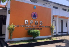 Dampak Kemarau di Cianjur Meluas, Empat Kecamatan Mulai Terdampak